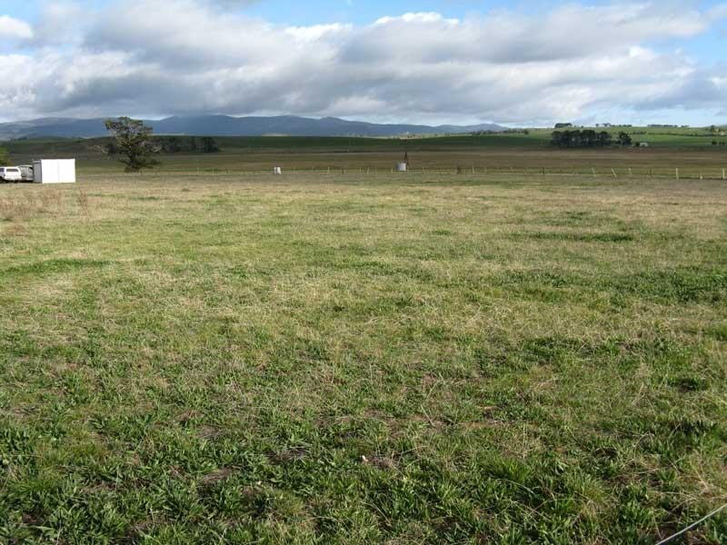 Lot 4 & 5 McFarlane st, Benambra VIC 3900