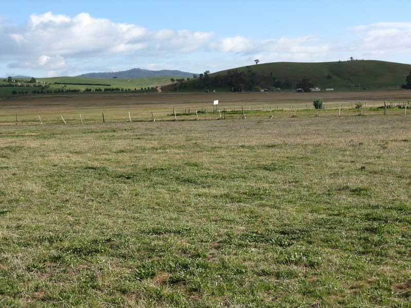 Lot 4 & 5 McFarlane st, Benambra VIC 3900