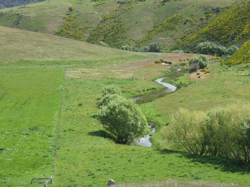 135 Parish Boundary Lane, Omeo VIC 3898