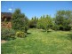 50 Sebastopol Hill Road, Omeo VIC 3898