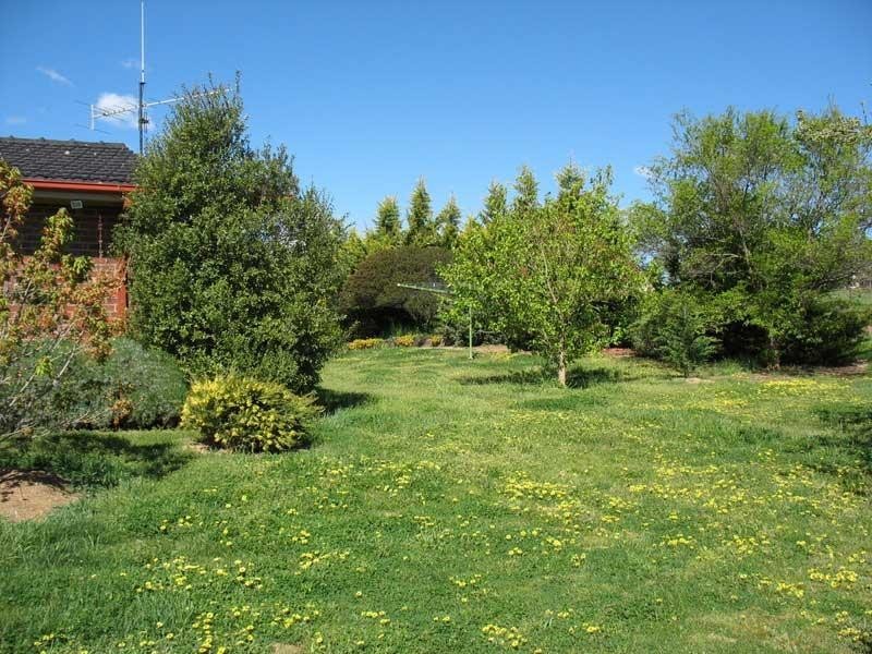 50 Sebastopol Hill Road, Omeo VIC 3898