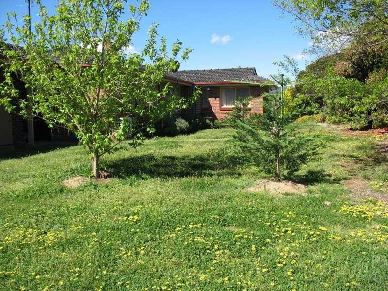 50 Sebastopol Hill Road, Omeo VIC 3898