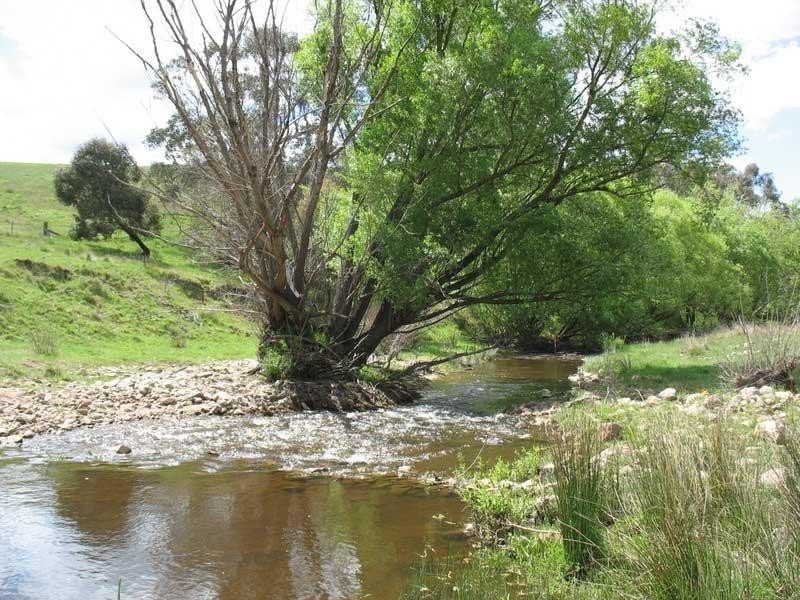 353 Omeo Highway, Omeo VIC 3898