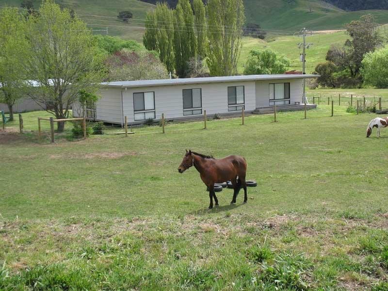 353 Omeo Highway, Omeo VIC 3898