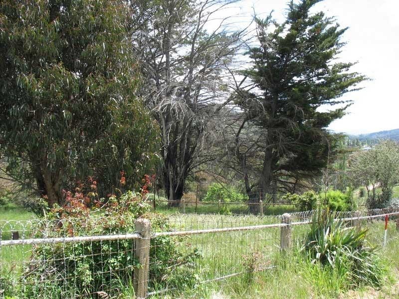 56 Day Avenue, Omeo VIC 3898