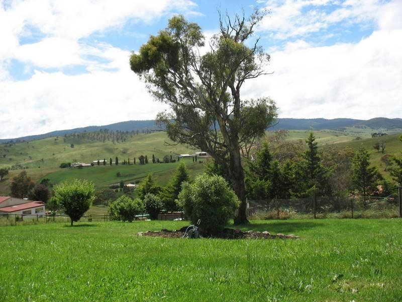 13 McCoy Street, Omeo VIC 3898