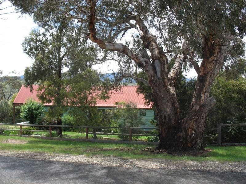 13 McCoy Street, Omeo VIC 3898