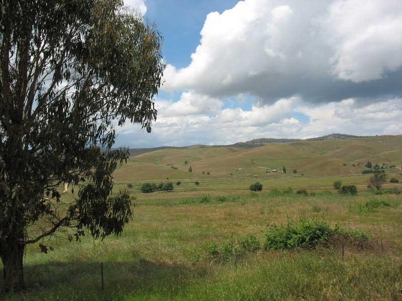 340 Omeo Valley Road, Omeo VIC 3898