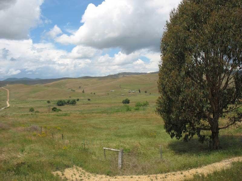 340 Omeo Valley Road, Omeo VIC 3898