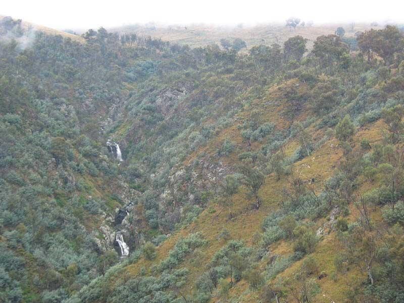 540 Victoria Falls Road Cobungra Via, Omeo VIC 3898