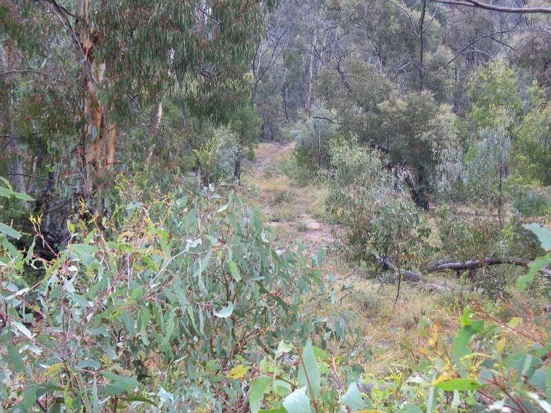 540 Victoria Falls Road Cobungra Via, Omeo VIC 3898