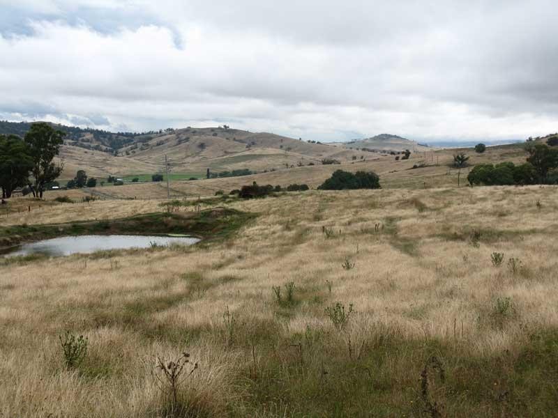 333 Omeo Valley Road, Omeo VIC 3898