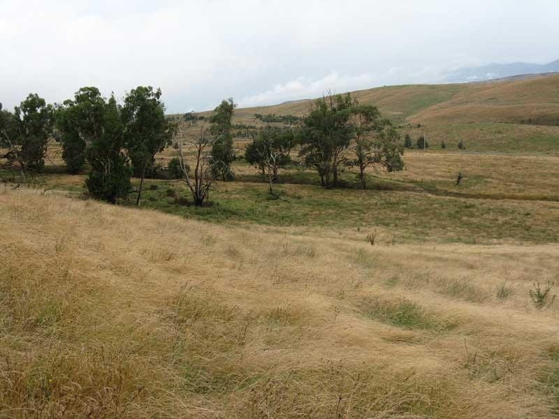 333 Omeo Valley Road, Omeo VIC 3898