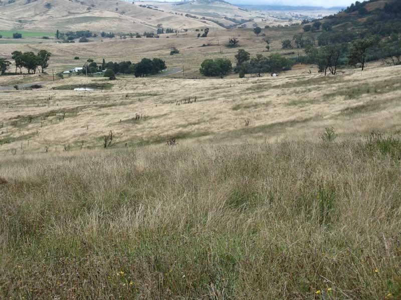 333 Omeo Valley Road, Omeo VIC 3898