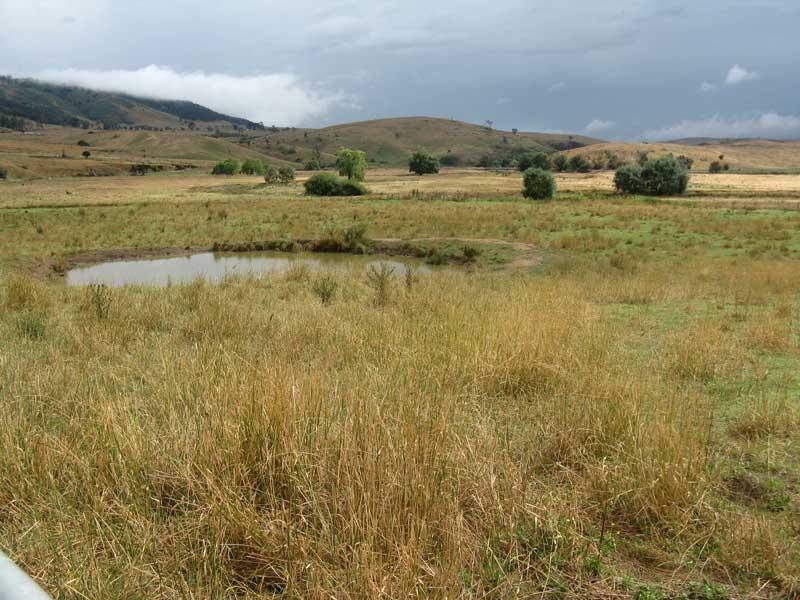 333 Omeo Valley Road, Omeo VIC 3898