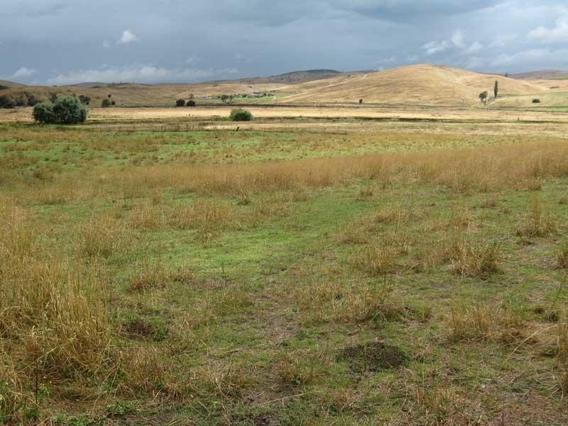 333 Omeo Valley Road, Omeo VIC 3898