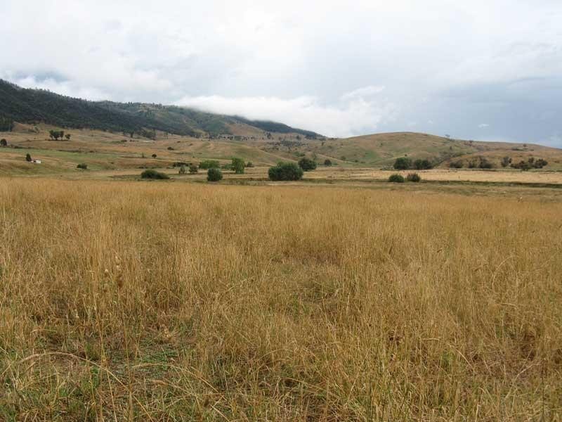 333 Omeo Valley Road, Omeo VIC 3898