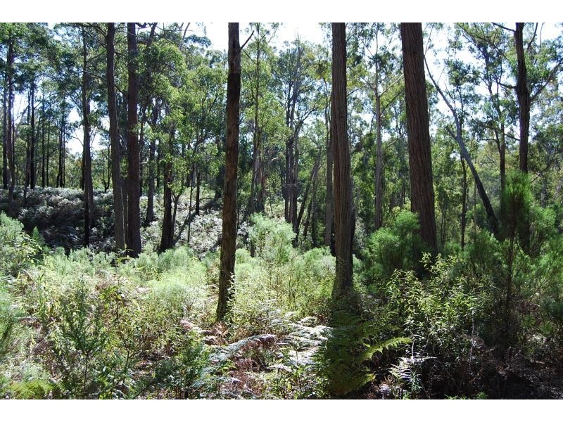 Lot 2 Baades Road, Lakes Entrance VIC 3909