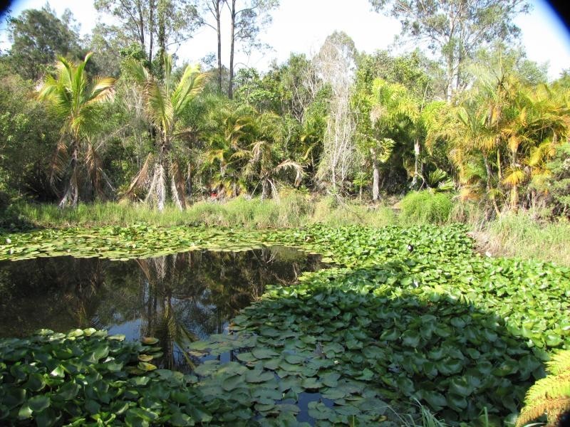 111 RIFELBIRD DRIVE, Upper Caboolture QLD 4510