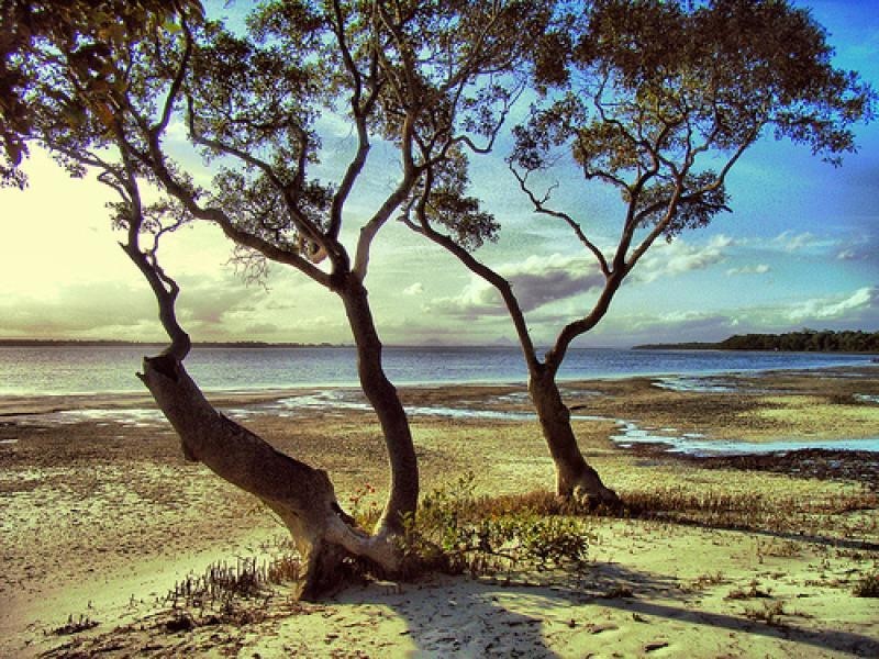 49 Christen Drive, Beachmere QLD 4510