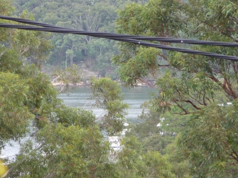 3 The Crescent, Hurstville Grove NSW 2220