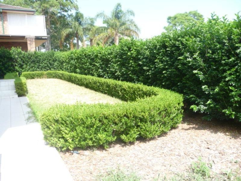 55 Tavistock Road, South Hurstville NSW 2221