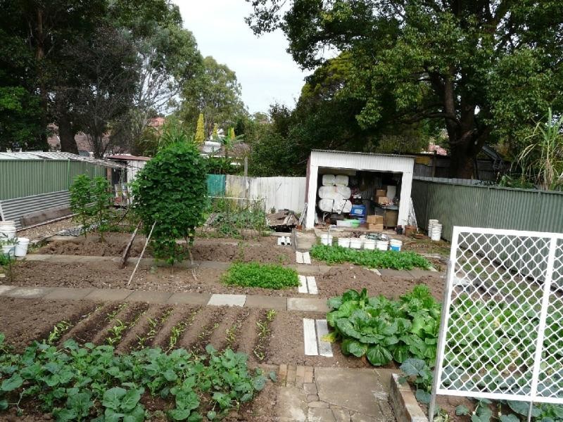 23 Balfour Road, Narwee NSW 2209