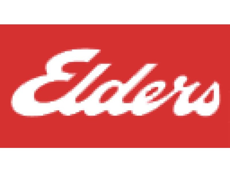 33 LIVINGSTONE ROAD, Lidcombe NSW 2141