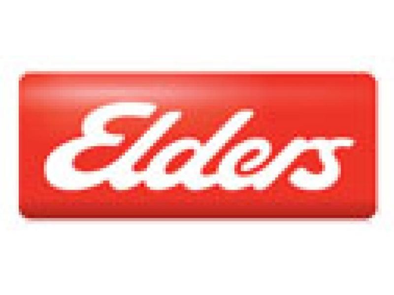 88 Delhi Street, Lidcombe NSW 2141