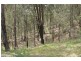 Larnook NSW 2480