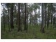 Larnook NSW 2480