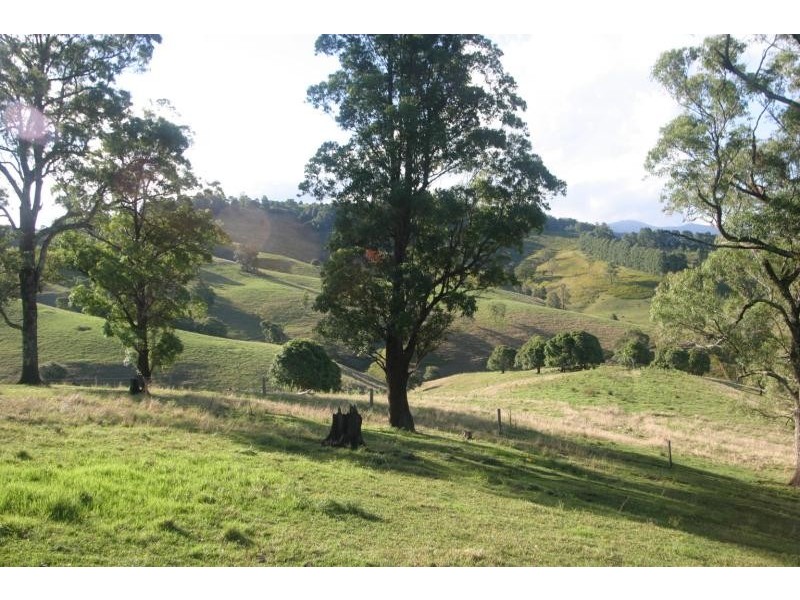 The Channon NSW 2480