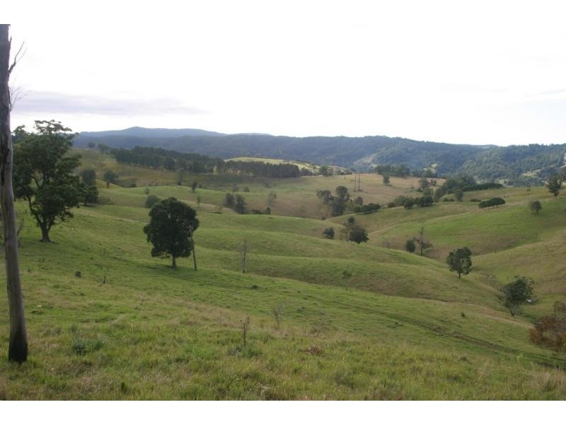 The Channon NSW 2480