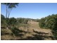 Tuckurimba NSW 2480