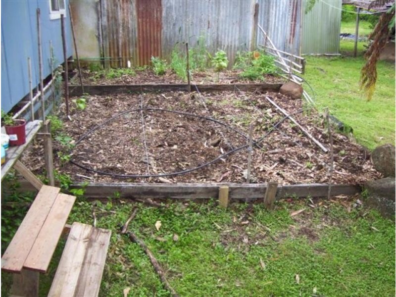 700 TERANIA CREEK ROAD, Terania Creek NSW 2480