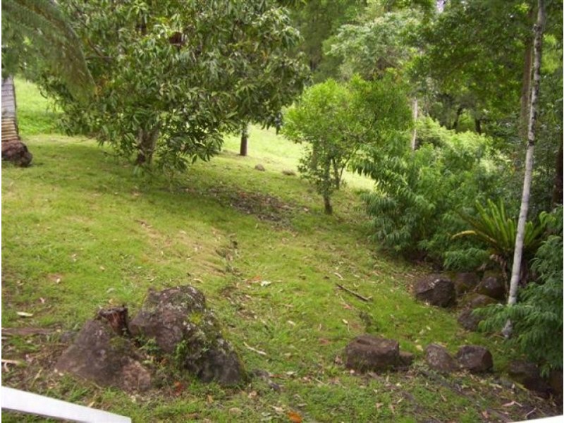 700 TERANIA CREEK ROAD, Terania Creek NSW 2480