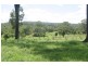 Mountain Top NSW 2480