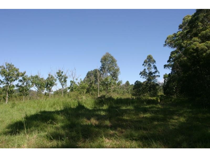 Mountain Top NSW 2480