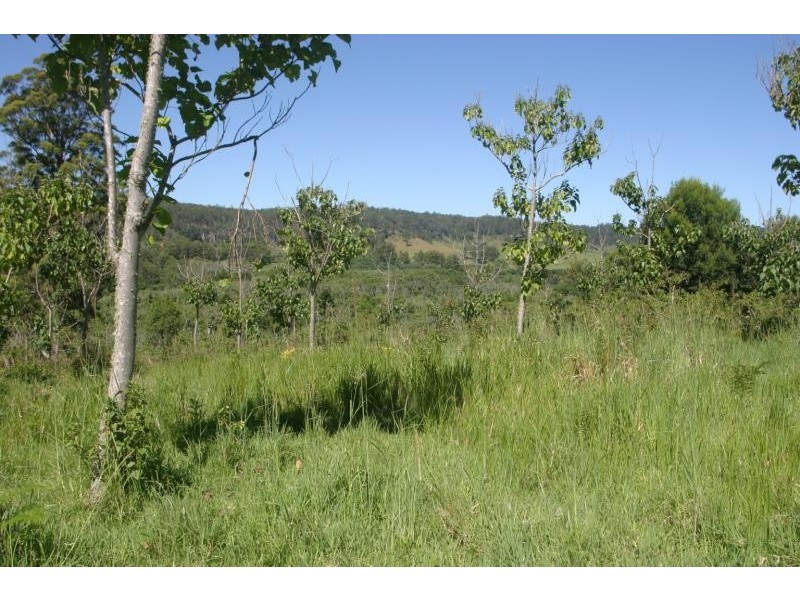 Mountain Top NSW 2480