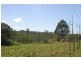 Mountain Top NSW 2480
