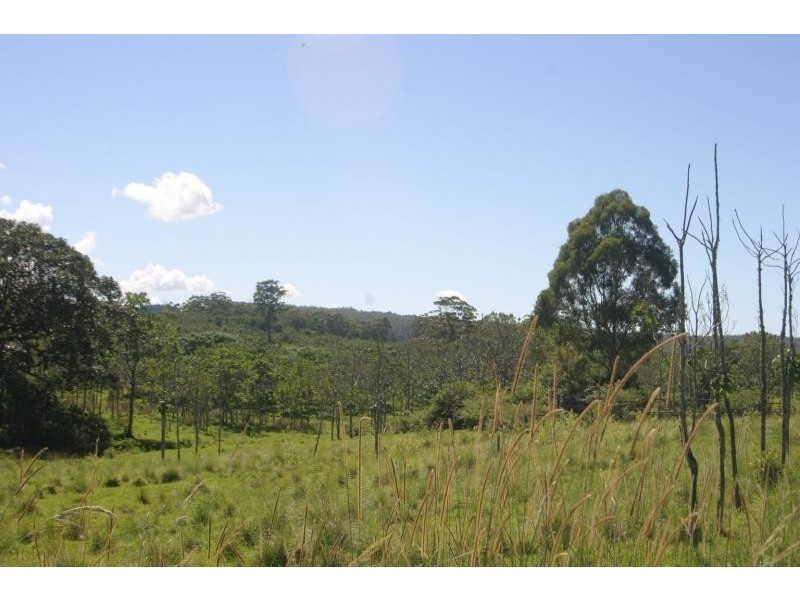 Mountain Top NSW 2480