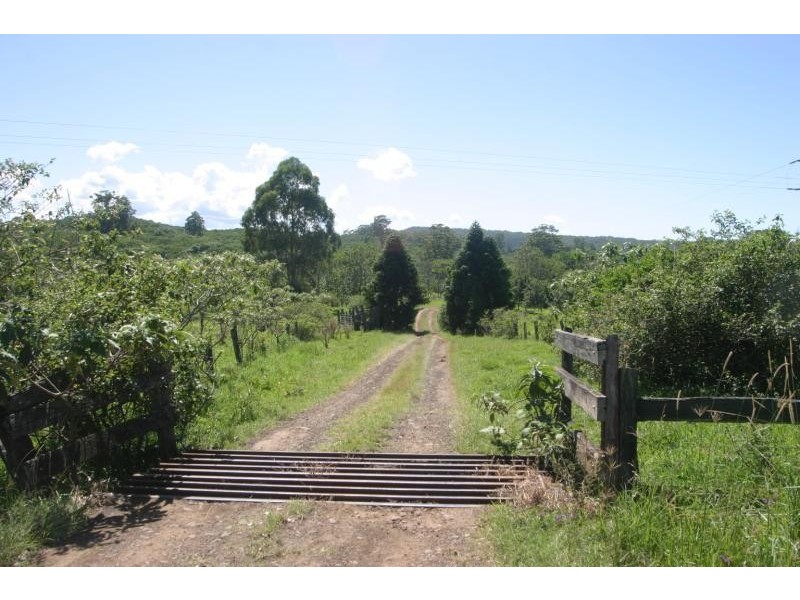 Mountain Top NSW 2480