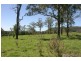 Mountain Top NSW 2480