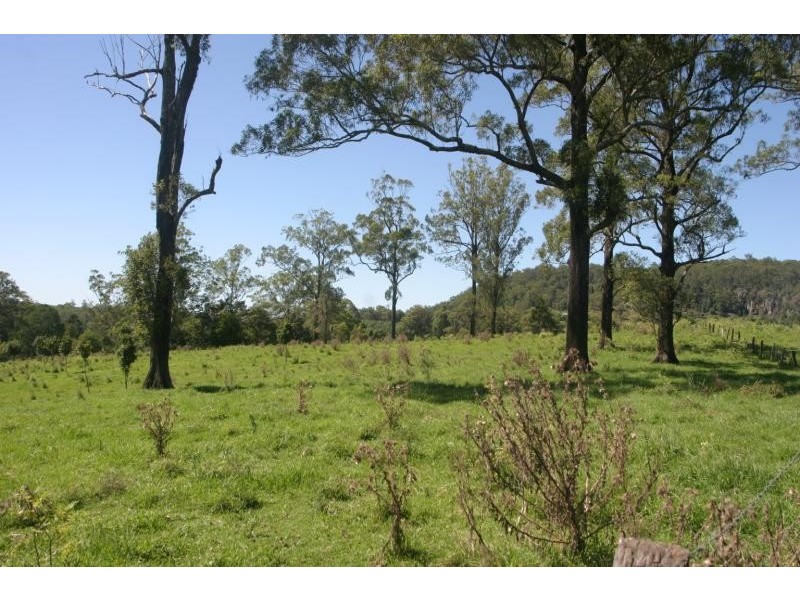 Mountain Top NSW 2480
