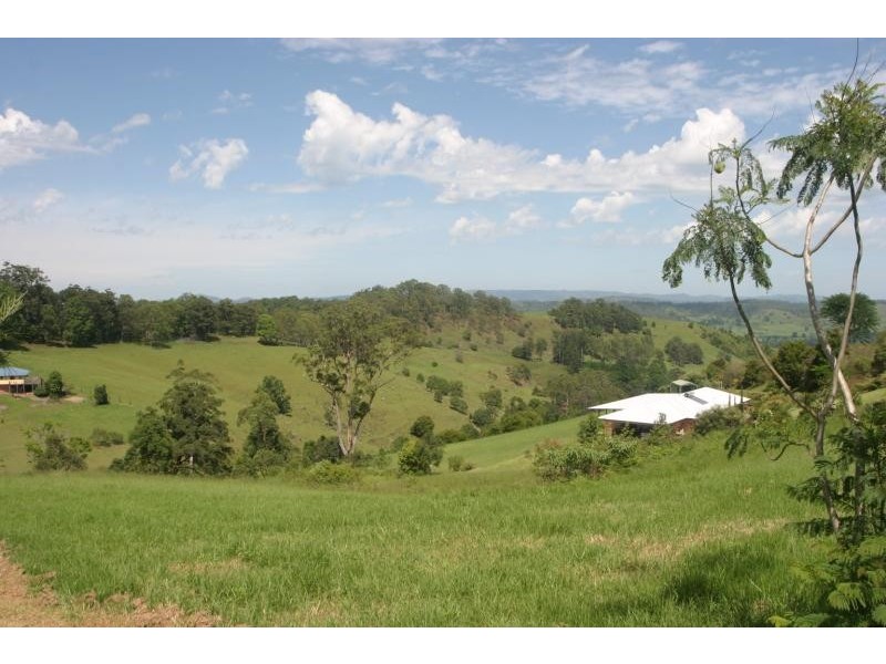 55 FUNNELL DRIVE, Modanville NSW 2480
