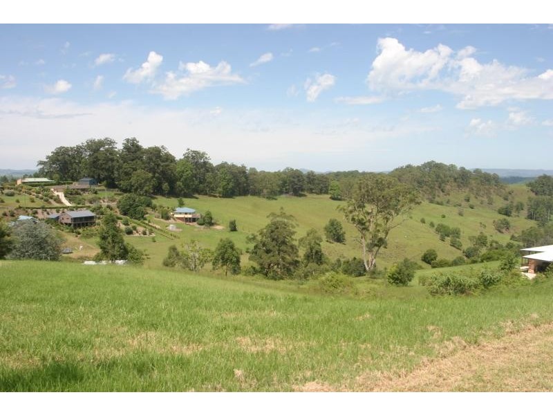 55 FUNNELL DRIVE, Modanville NSW 2480