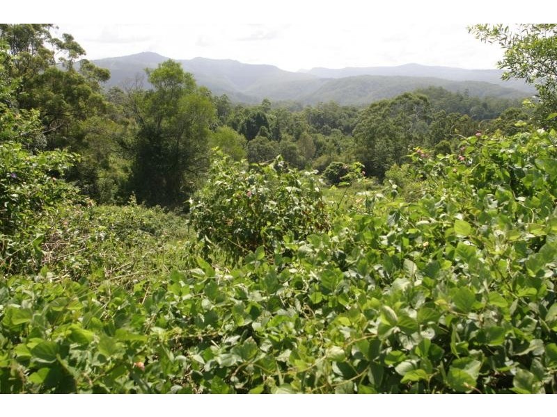 177 Rose Road, Tuntable Creek NSW 2480