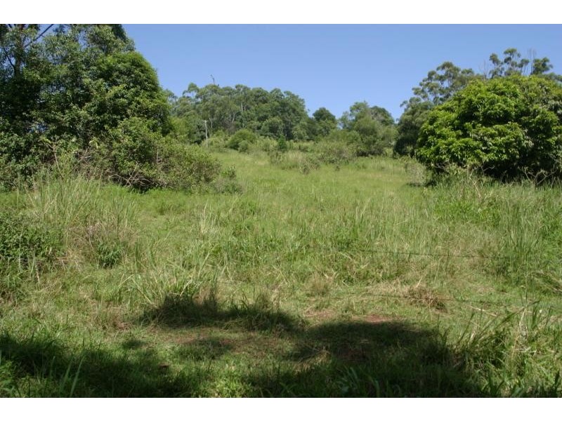 177 Rose Road, Tuntable Creek NSW 2480