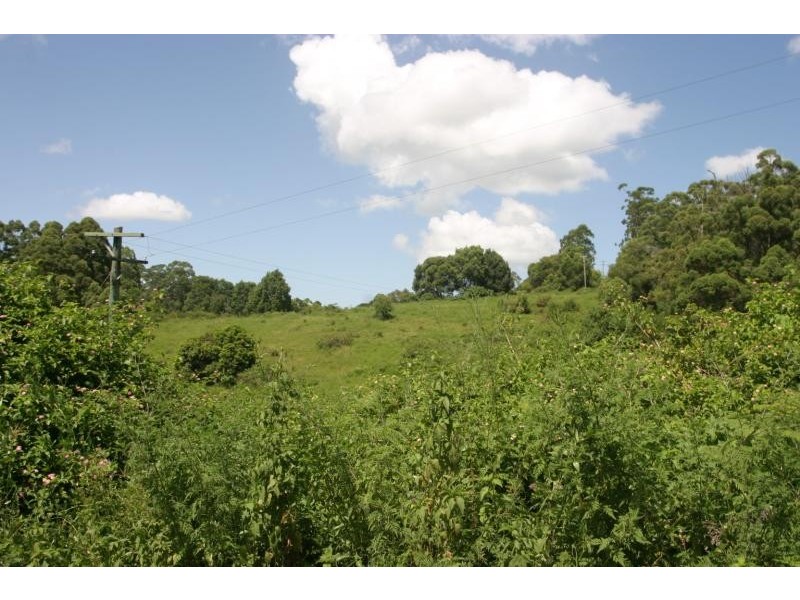 177 Rose Road, Tuntable Creek NSW 2480