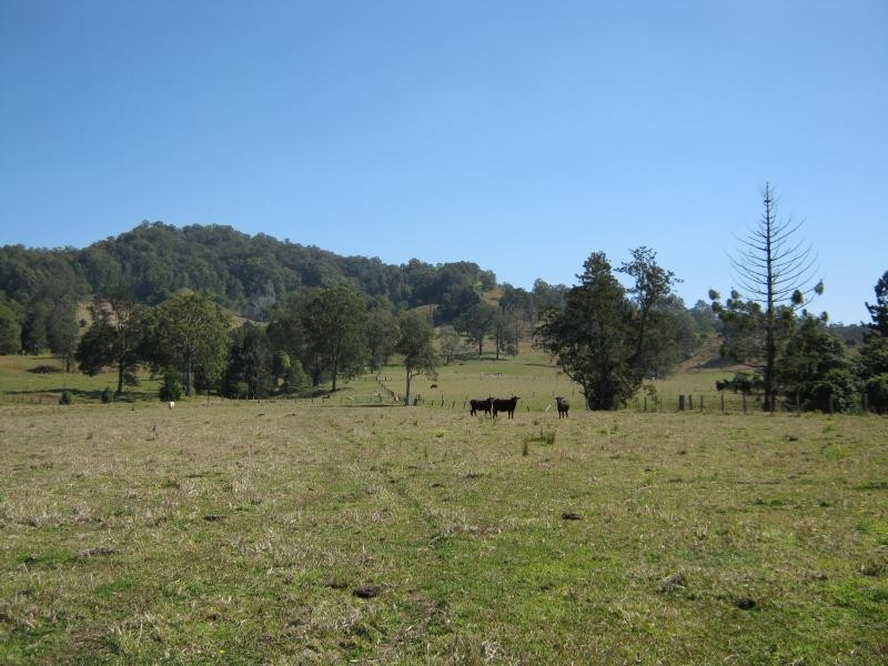 801 Jiggi Road, Jiggi NSW 2480